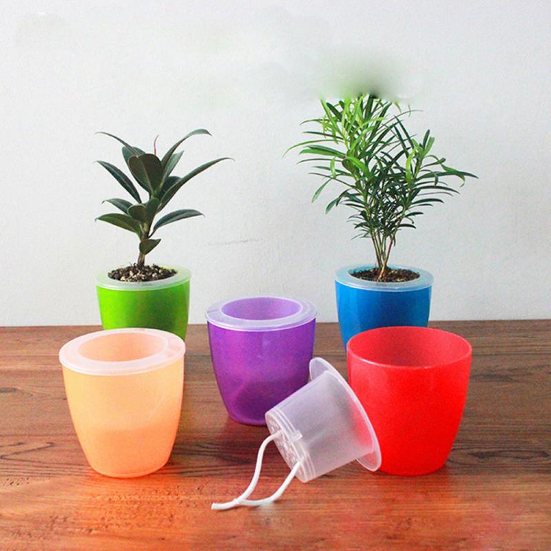 Transparent Self Watering Planter Flower Pot