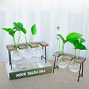 Vintage Style Glass Tabletop Plant