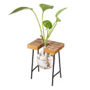 Vintage Style Glass Tabletop Plant