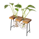 Vintage Style Glass Tabletop Plant