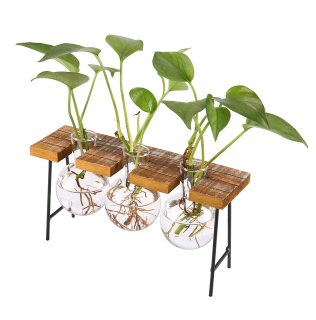 Vintage Style Glass Tabletop Plant